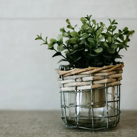 The Douro Nest * 발렌카도두오로