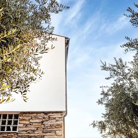 The Douro Nest Ferienhaus Valença do Douro