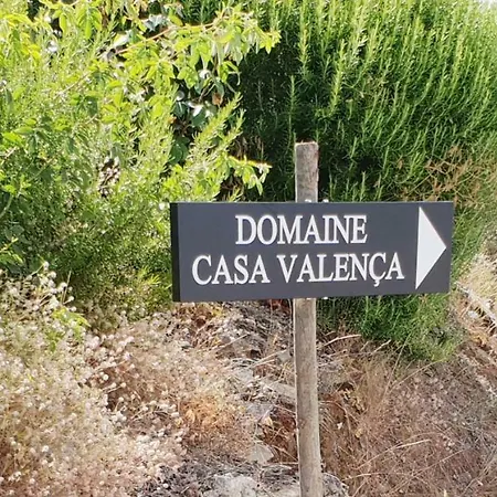 Ferienhaus The Douro Nest Valença do Douro