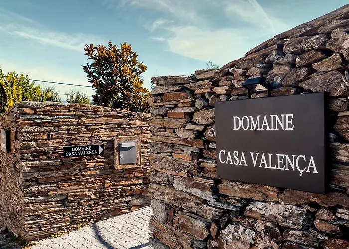 The Douro Nest 別荘 ヴァレンサ・ド・ドウロ