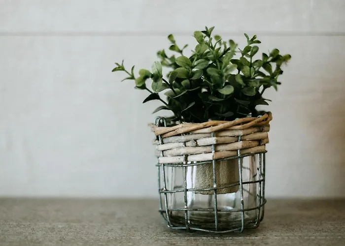 The Douro Nest * 杜罗河畔瓦伦萨