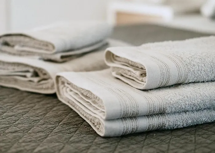 The Douro Nest 度假居 *