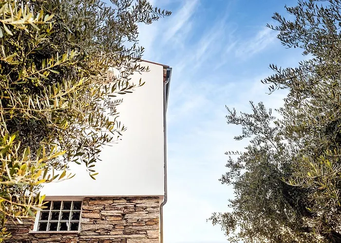 The Douro Nest בית נופש Valença do Douro