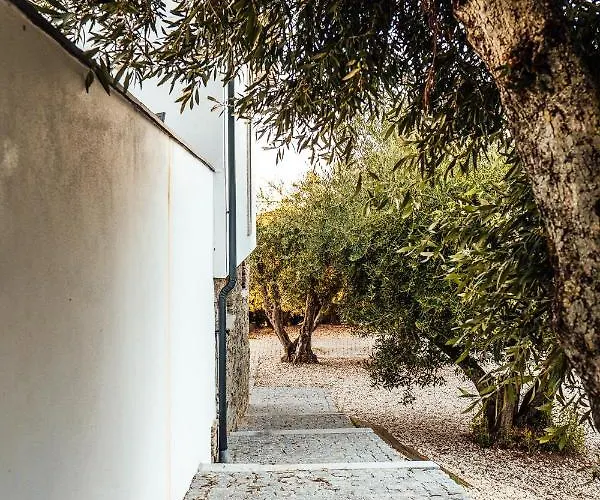 בית נופש The Douro Nest *