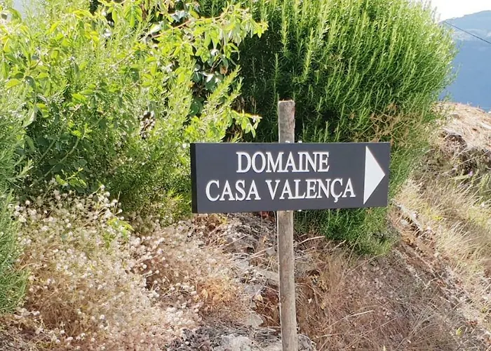 度假居 The Douro Nest 杜罗河畔瓦伦萨